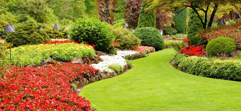 Pool Contractors